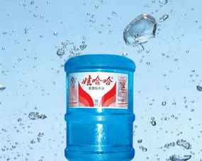 西青大寺水站 為生活注入健康活力的桶裝水專家