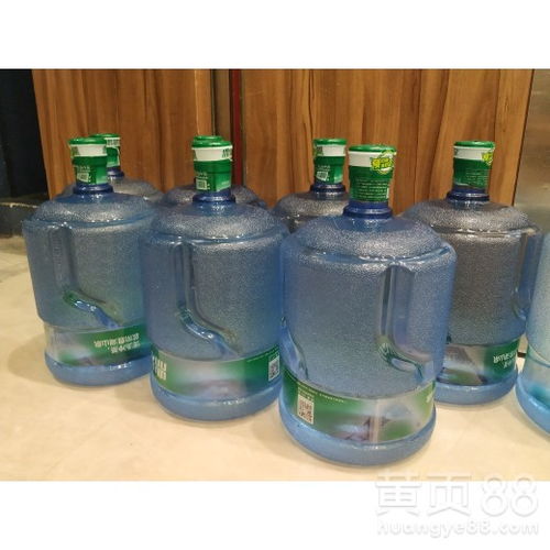 廣州花都鼎湖桶裝水訂水指南 如何便捷獲取優質桶裝水